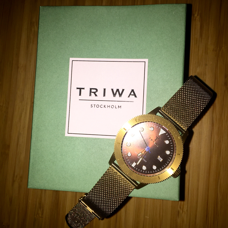 triwa_watch.jpg